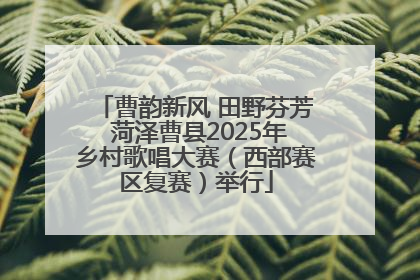 曹韵新风 田野芬芳 菏泽曹县2025年乡村歌唱大赛（西部赛区复赛）举行