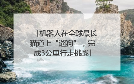 机器人在全球最长猫道上“遛狗”，完成3公里行走挑战
