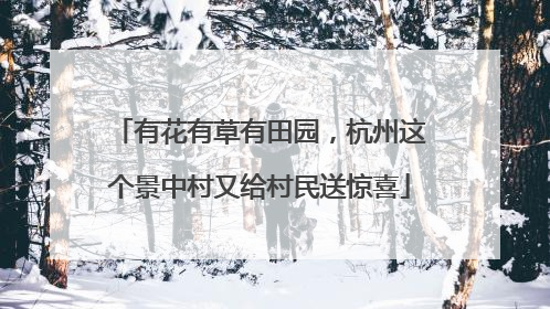 有花有草有田园，杭州这个景中村又给村民送惊喜