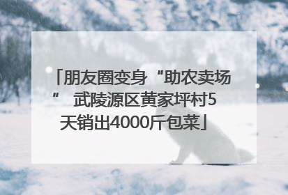 朋友圈变身“助农卖场” 武陵源区黄家坪村5天销出4000斤包菜