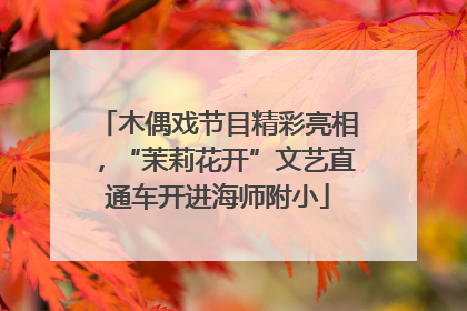 木偶戏节目精彩亮相，“茉莉花开”文艺直通车开进海师附小