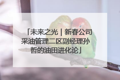未来之光｜新春公司采油管理二区副经理孙哲的油田进化论