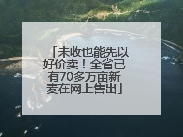 未收也能先以好价卖！全省已有70多万亩新麦在网上售出