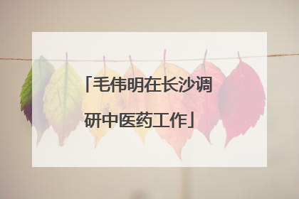 毛伟明在长沙调研中医药工作