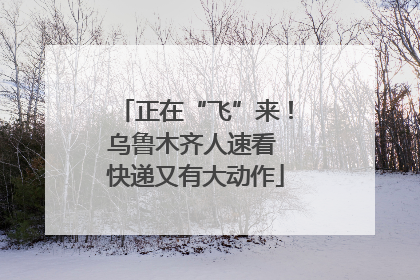 正在“飞”来！乌鲁木齐人速看 快递又有大动作