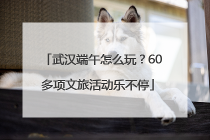 武汉端午怎么玩？60多项文旅活动乐不停
