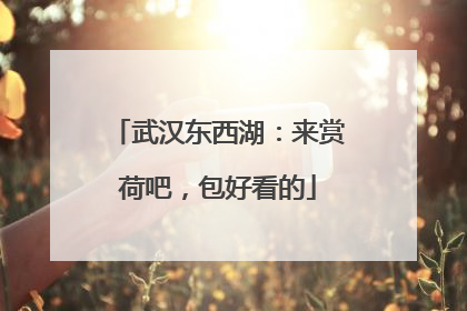 武汉东西湖：来赏荷吧，包好看的