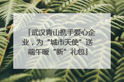 武汉青山携手爱心企业，为“城市天使”送端午暖“新”礼包