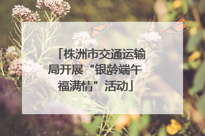 株洲市交通运输局开展“银龄端午福满情”活动