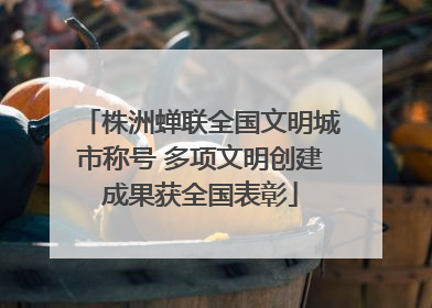 株洲蝉联全国文明城市称号 多项文明创建成果获全国表彰