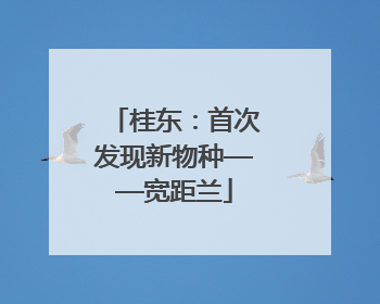 桂东：首次发现新物种——宽距兰