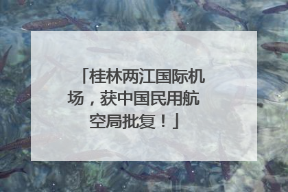 桂林两江国际机场，获中国民用航空局批复！