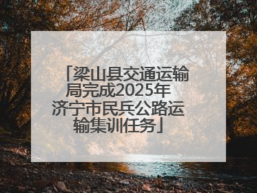 梁山县交通运输局完成2025年济宁市民兵公路运输集训任务