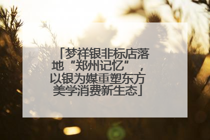 梦祥银非标店落地“郑州记忆”，以银为媒重塑东方美学消费新生态