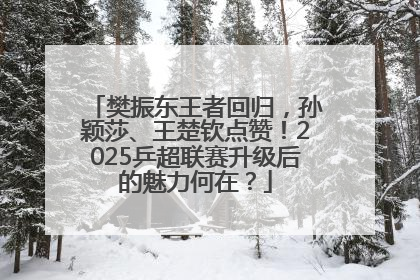 樊振东王者回归，孙颖莎、王楚钦点赞！2025乒超联赛升级后的魅力何在？