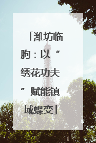潍坊临朐：以“绣花功夫”赋能镇域蝶变