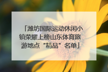 潍坊国际运动休闲小镇荣耀上榜山东体育旅游地点“精品”名单