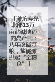 潍坊寿光北部13万亩盐碱地迈向高产田：八年改碱夺粮，盐碱滩拱起“金粮仓”