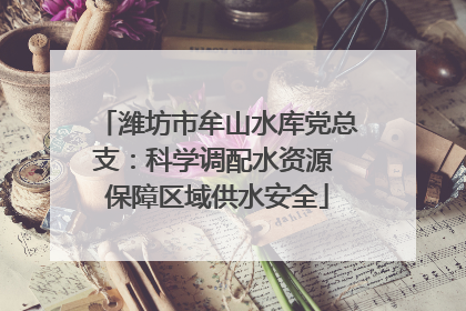 潍坊市牟山水库党总支：科学调配水资源 保障区域供水安全