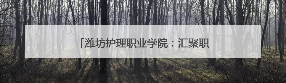 潍坊护理职业学院：汇聚职教力量 赋能高质量发展