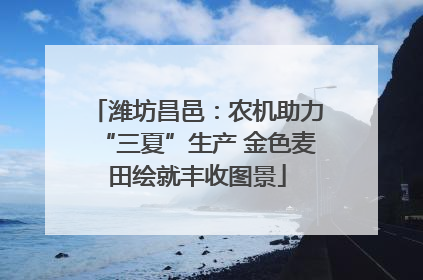 潍坊昌邑：农机助力“三夏”生产 金色麦田绘就丰收图景