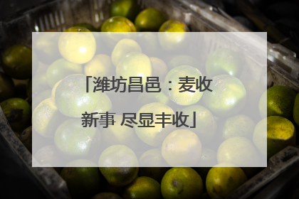 潍坊昌邑：麦收新事 尽显丰收