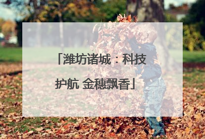 潍坊诸城：科技护航 金穗飘香