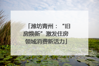 潍坊青州：“旧房焕新”激发住房领域消费新活力
