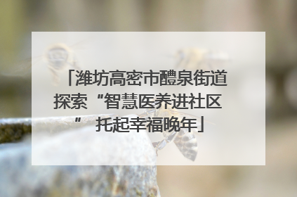 潍坊高密市醴泉街道探索“智慧医养进社区” 托起幸福晚年