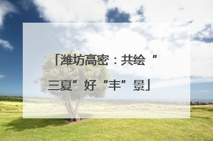 潍坊高密：共绘“三夏”好“丰”景