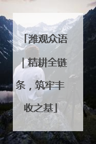 潍观众语｜精耕全链条，筑牢丰收之基