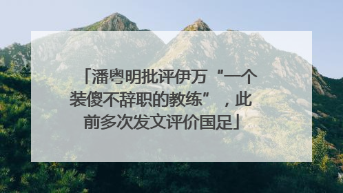 潘粤明批评伊万“一个装傻不辞职的教练”，此前多次发文评价国足