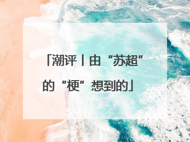 潮评丨由“苏超”的“梗”想到的