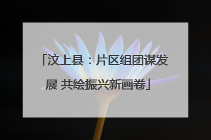 汶上县：片区组团谋发展 共绘振兴新画卷