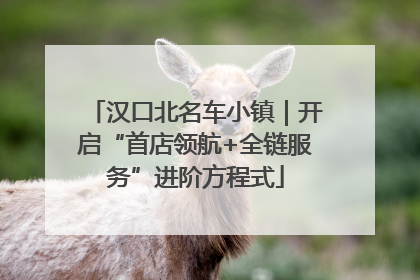 汉口北名车小镇｜开启“首店领航+全链服务”进阶方程式