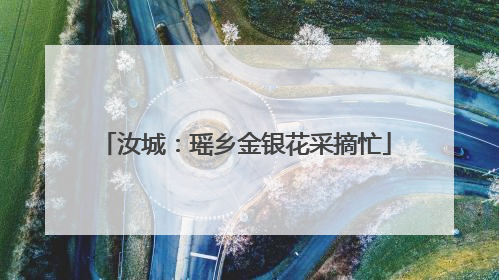 汝城：瑶乡金银花采摘忙