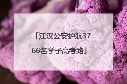 江汉公安护航3766名学子高考路