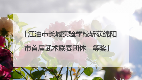 江油市长城实验学校斩获绵阳市首届武术联赛团体一等奖