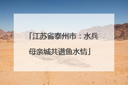 江苏省泰州市：水兵母亲城共谱鱼水情