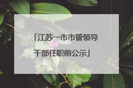 江苏一市市管领导干部任职前公示