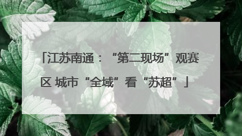 江苏南通：“第二现场”观赛区 城市“全域”看“苏超”