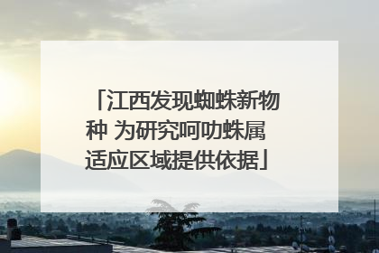 江西发现蜘蛛新物种 为研究呵叻蛛属适应区域提供依据