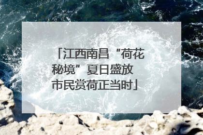 江西南昌“荷花秘境”夏日盛放 市民赏荷正当时