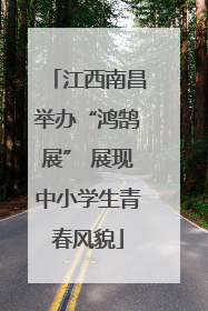 江西南昌举办“鸿鹄展” 展现中小学生青春风貌