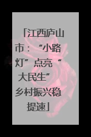 江西庐山市：“小路灯”点亮“大民生” 乡村振兴稳提速