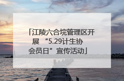 江陵六合垸管理区开展 “5.29计生协会员日”宣传活动