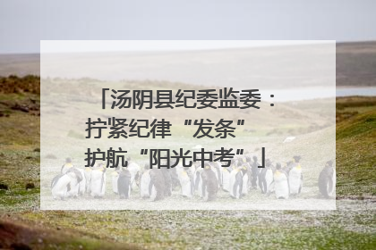汤阴县纪委监委：拧紧纪律“发条” 护航“阳光中考”