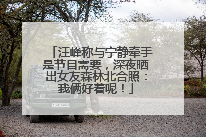 汪峰称与宁静牵手是节目需要，深夜晒出女友森林北合照：我俩好着呢！