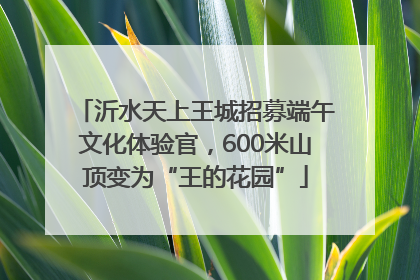 沂水天上王城招募端午文化体验官，600米山顶变为“王的花园”