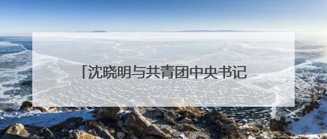 沈晓明与共青团中央书记处第一书记阿东一行会谈